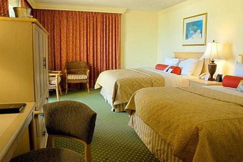 Zota Hotel 4*